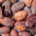 granos de cacao tostados