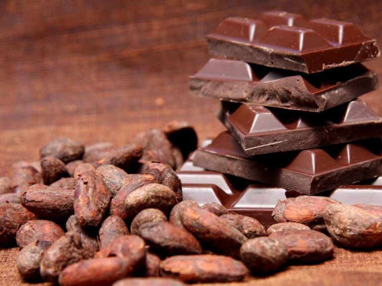 Tabletas de chocolate y granos de cacao