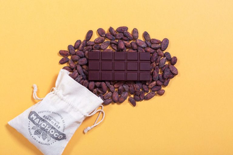 chocolate bean to bar de Maychoco
